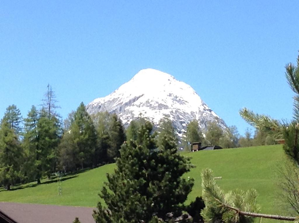 Hotel Garni Almhof Seefeld in Tirol Bagian luar foto